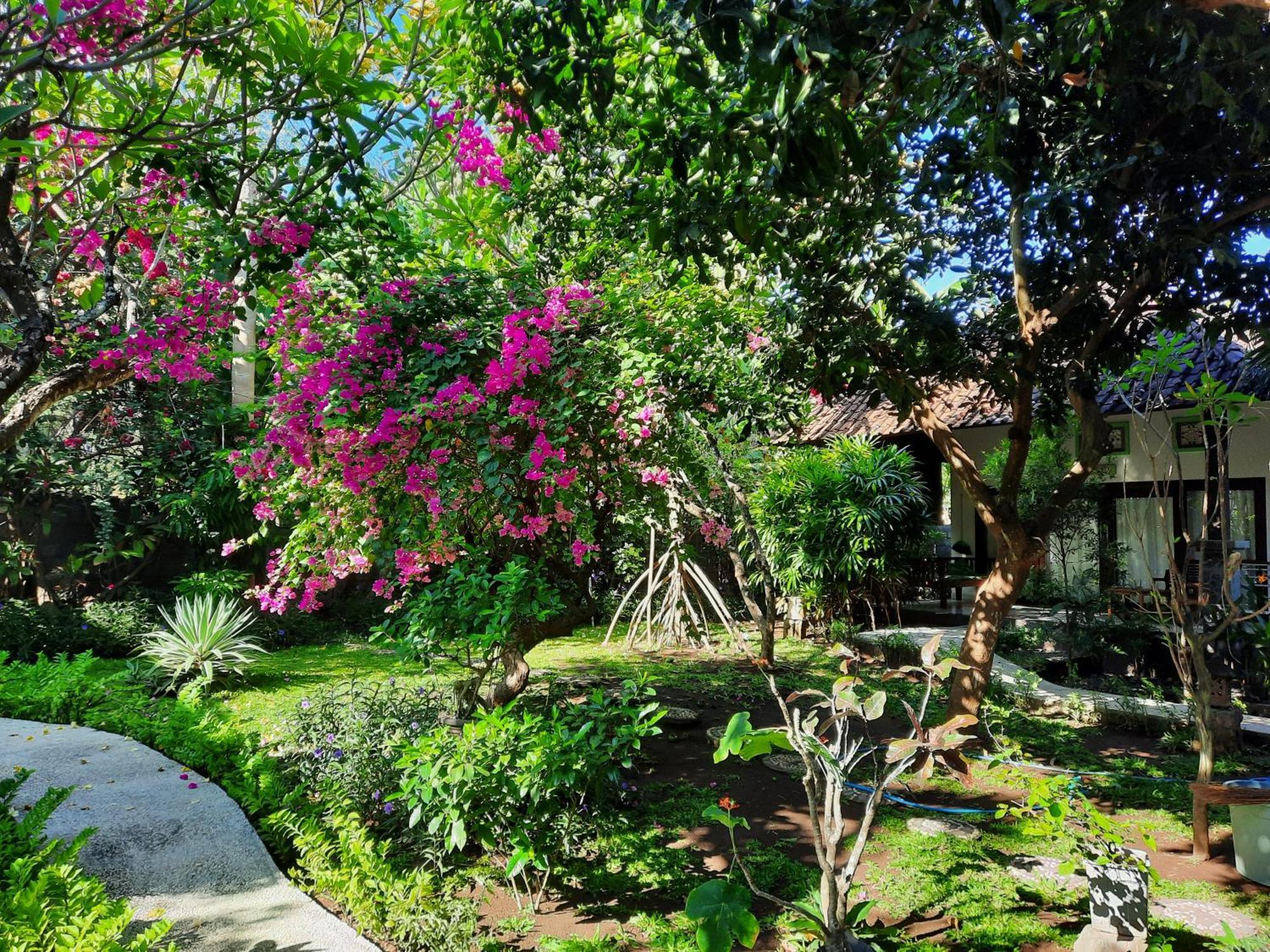 Kirana Homestay Amed Dış mekan fotoğraf